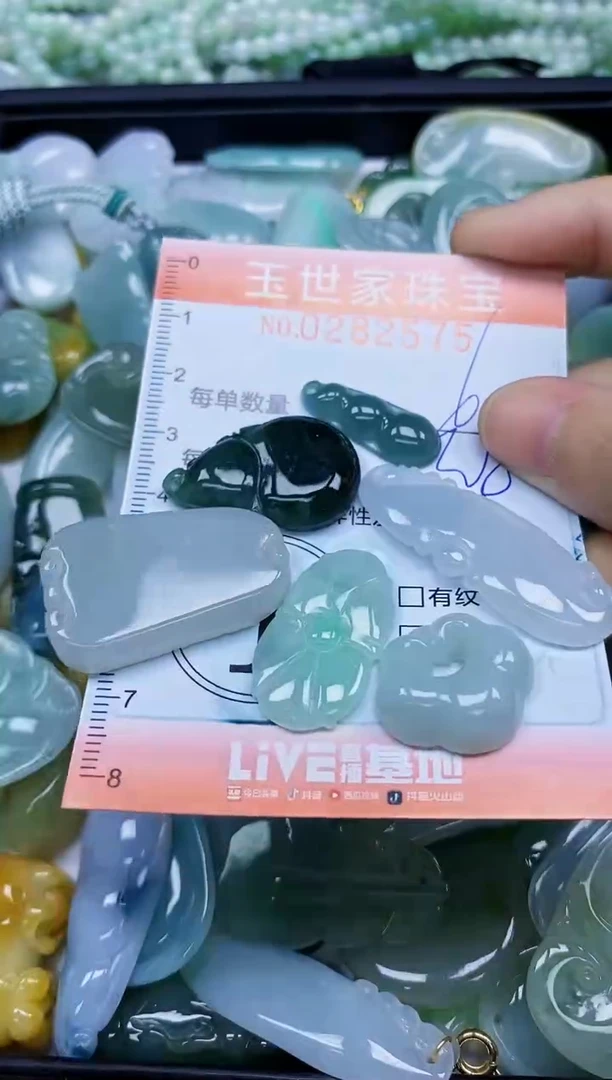 翡翠未镶嵌颈饰闪购0282575