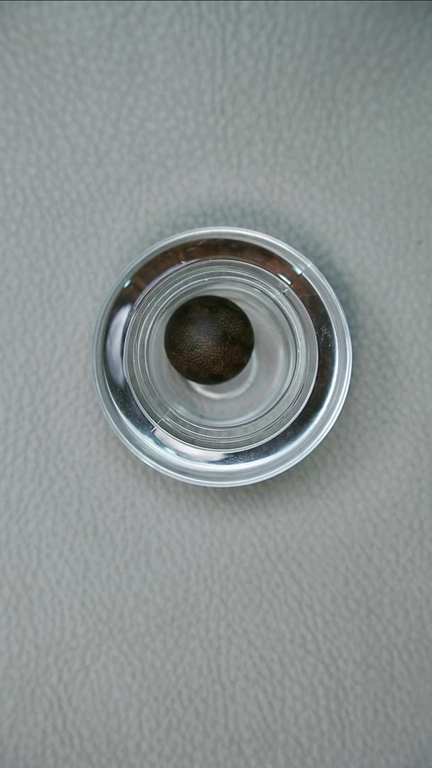 沉香沉香碎屑1.6正区芽庄棋楠老料（尾款）