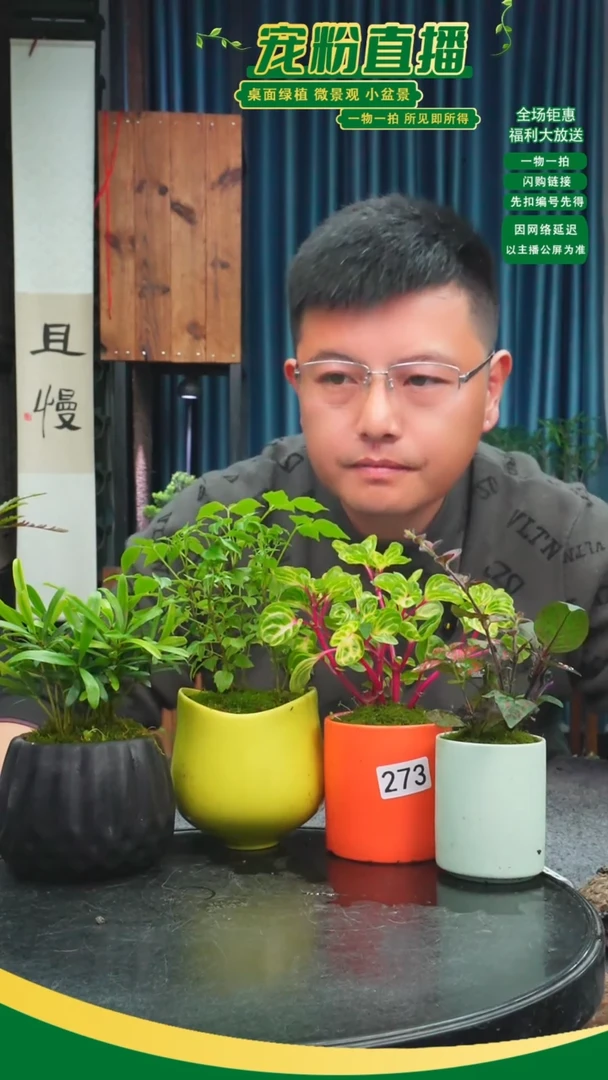 无花朵啵**水苔藓微景观273号