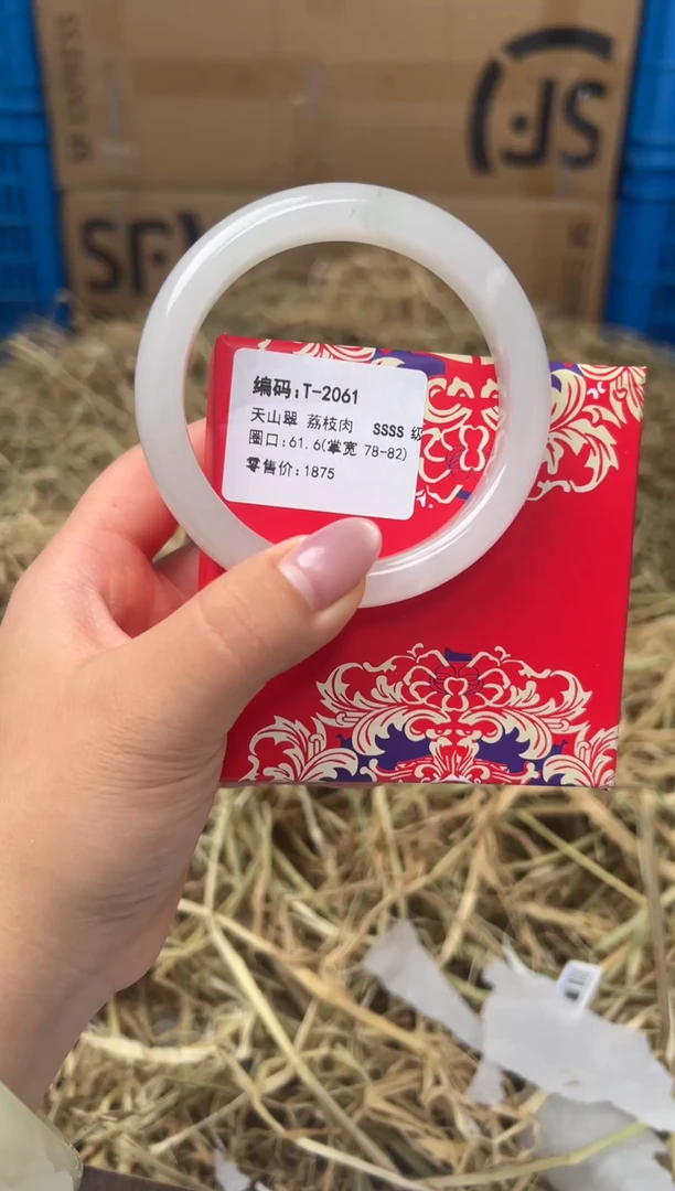 未镶嵌手镯石英质玉T-2061