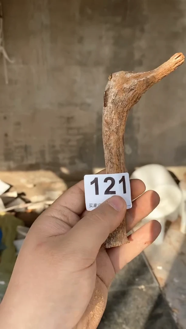 【闪购商品】柏木太行陈化崖柏（津诚林）切片