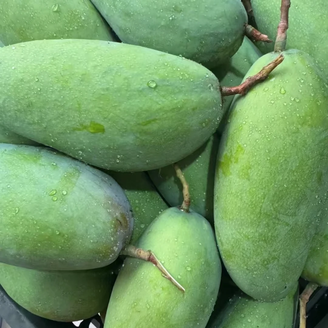 【抖音助农】云南白心大青芒核小出肉酸多甜可口生熟两吃表皮微伤介意勿拍3斤装（1500g）/7斤装（3500g）云南省