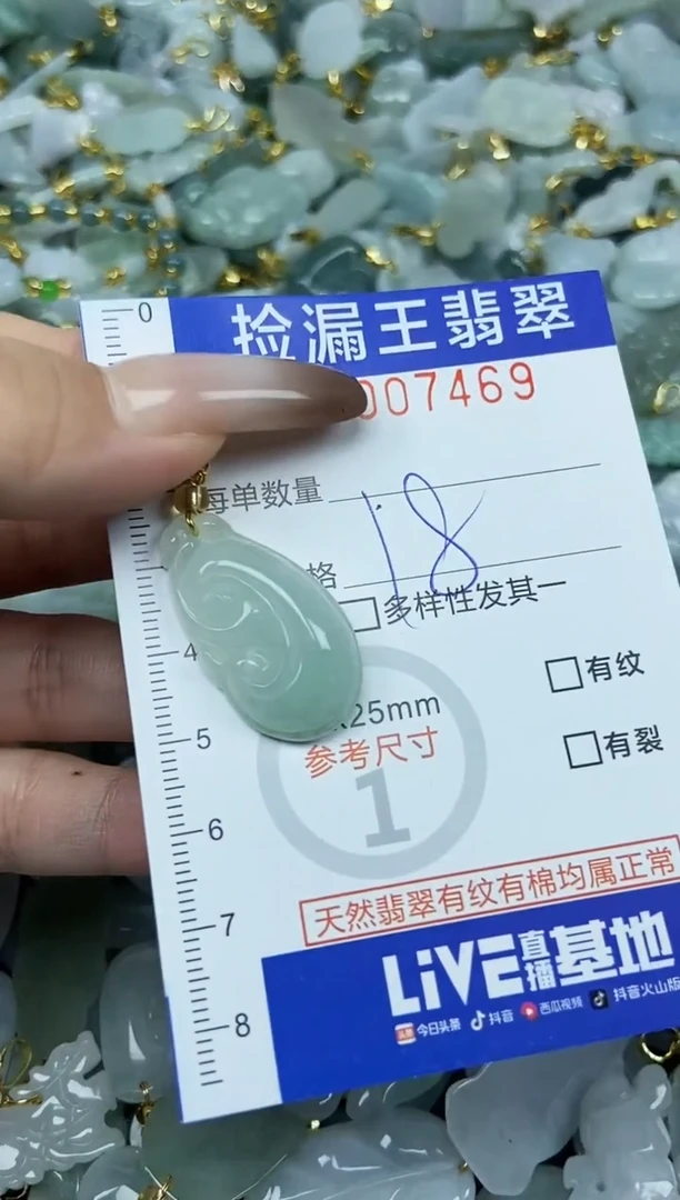 翡翠未镶嵌颈饰天然A货翡翠