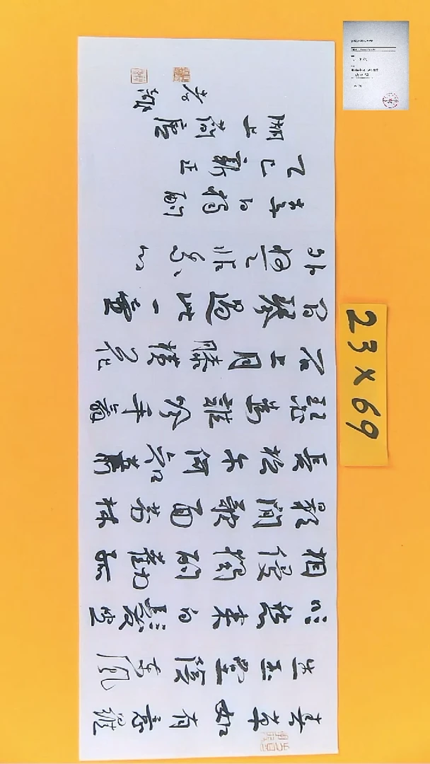 【闪购商品】书法江孝龙书法独酌23*69