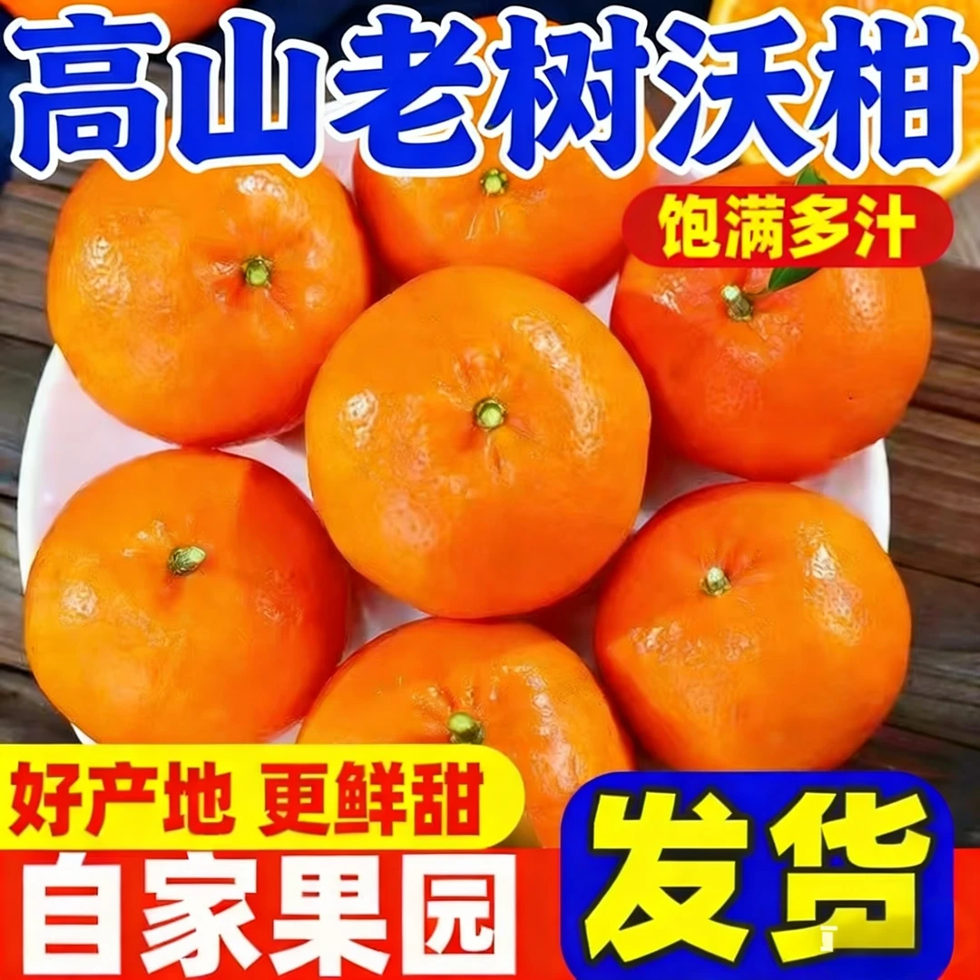 【果王更甜】广西高山沃柑产地直发新鲜水果鲜甜多汁现摘现发