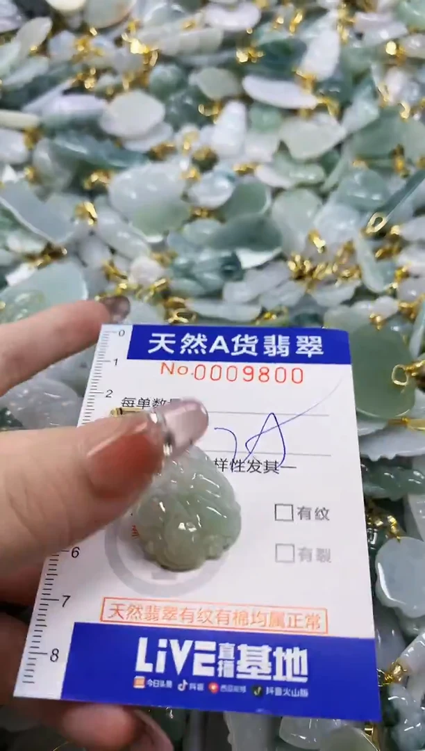 颈饰未镶嵌翡翠天然A货翡翠