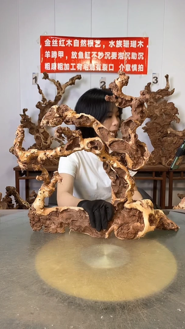 香榧木P****）金丝红木   羊蹄甲