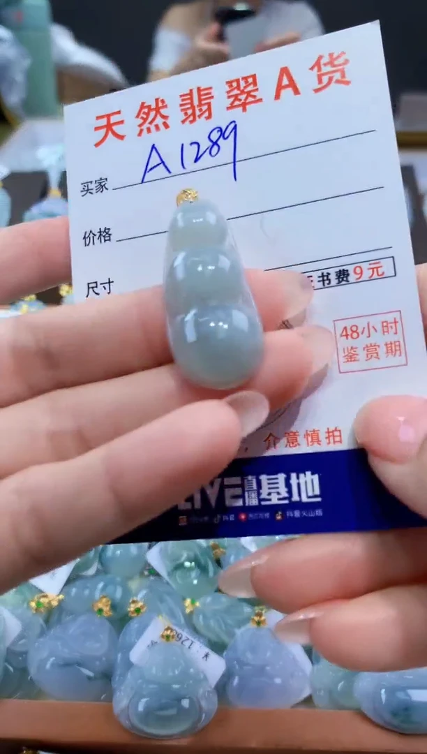 颈饰未镶嵌翡翠天然翡翠A货挂件