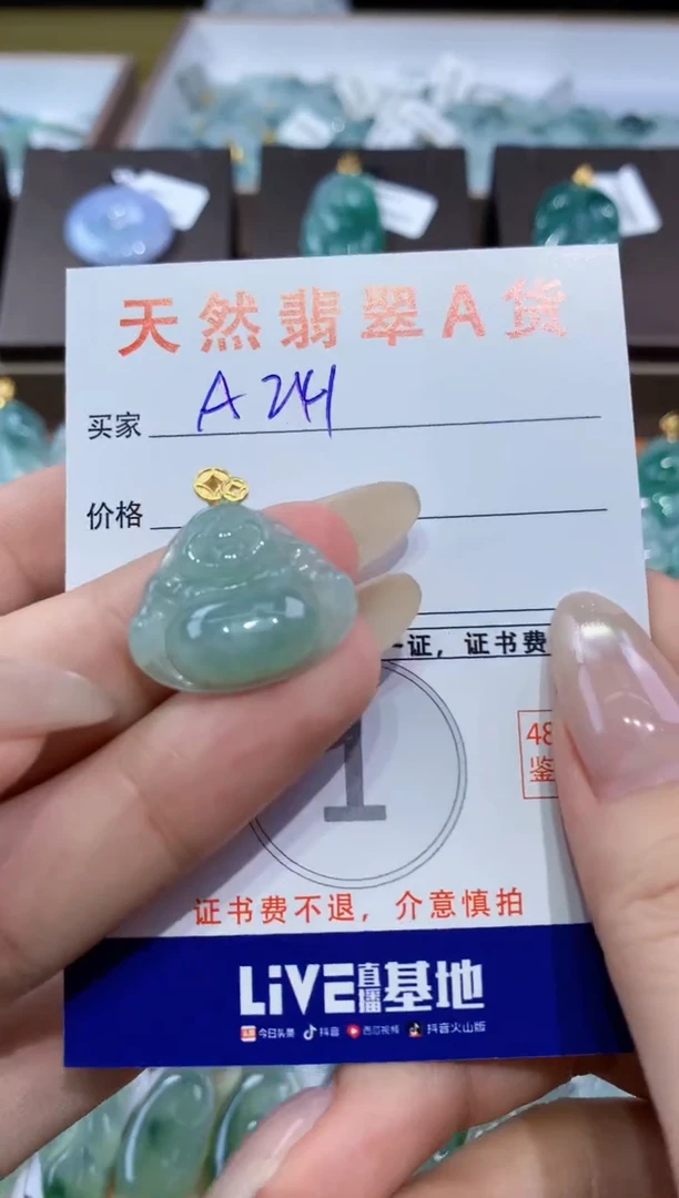颈饰未镶嵌翡翠 天然翡翠A货挂件