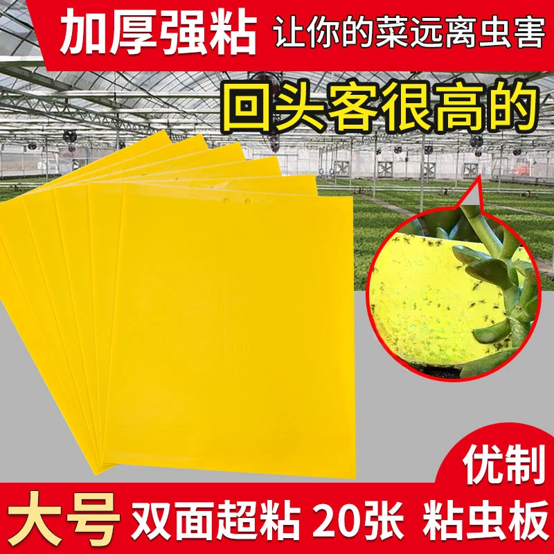 【加厚强粘】粘虫板黄板诱虫板蓝板双面沾白粉虱虫针蜂贴果蝇诱捕器