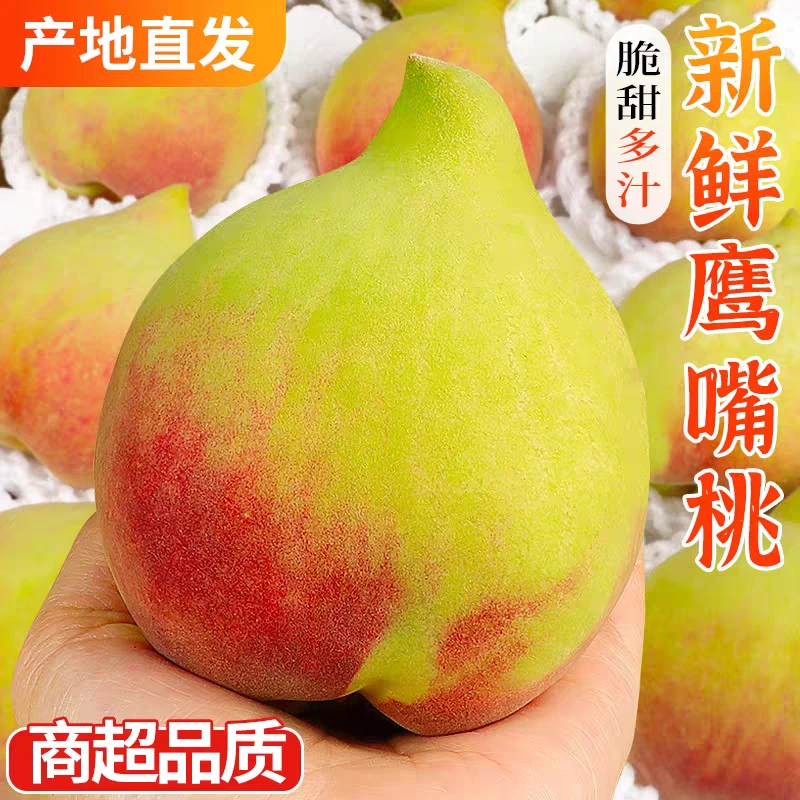【鹰嘴桃】顺丰包邮云南蒙自鹰嘴桃新鲜脆甜自家果园现摘现发桃子