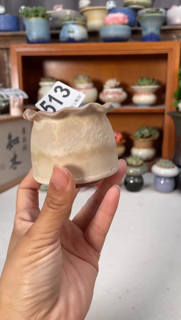 瓷片513小芳直播编号