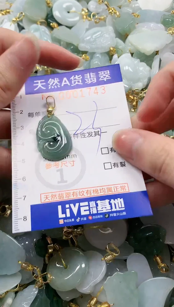 颈饰未镶嵌翡翠纯天然a货翡翠