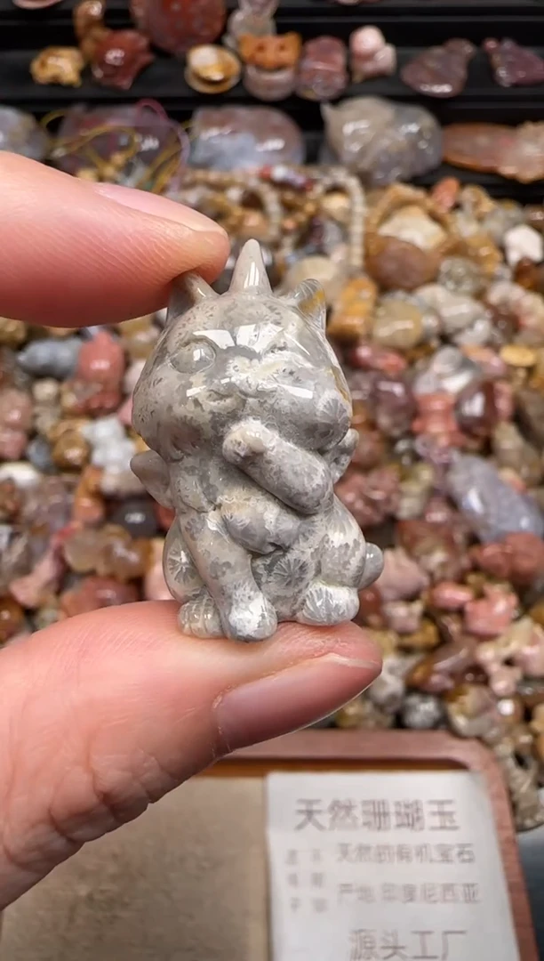 硅化珊瑚（珊瑚玉）未镶嵌颈饰496