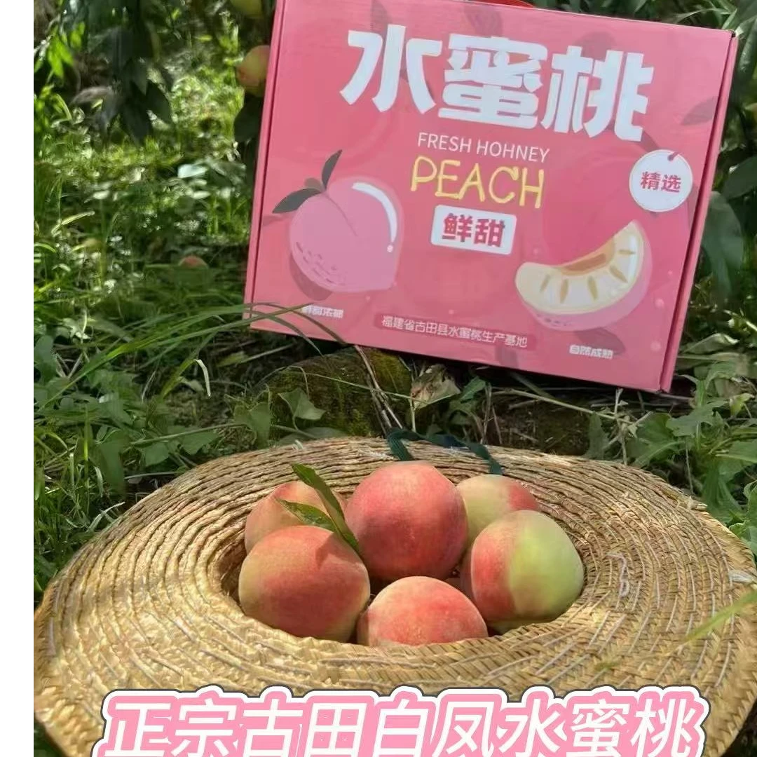 【顺丰包邮】正宗福建古田白凤水蜜桃特大果王高档礼盒装送礼佳品