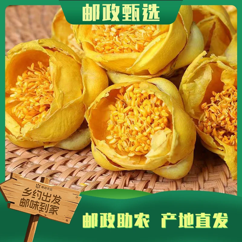 [邮政专属]野生金花茶正品野生金花茶金茶花精选金花茶大花