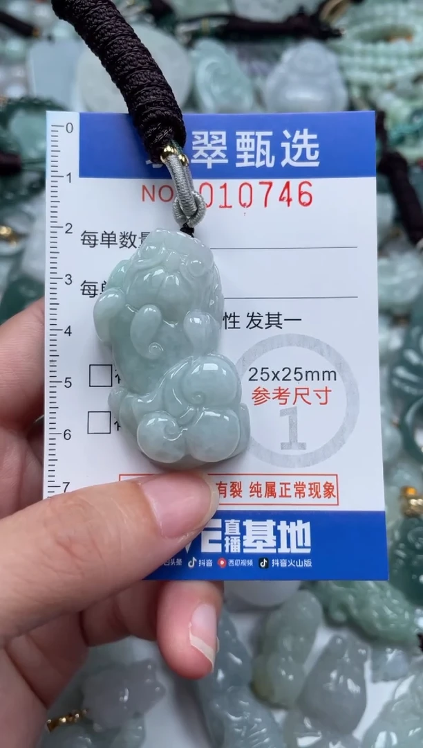 颈饰未镶嵌翡翠10746