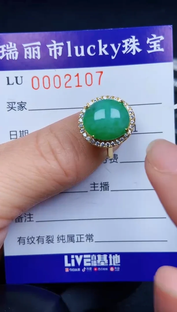 翡翠银S925镶嵌颈饰2107