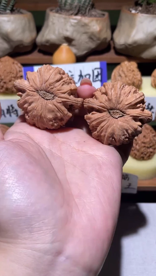 把件文玩核桃铄*闷白狮子头