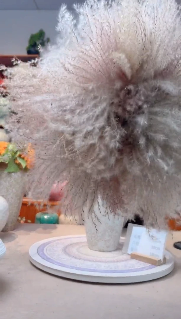 瓶陶瓷花瓶  花 一束芦苇 70支