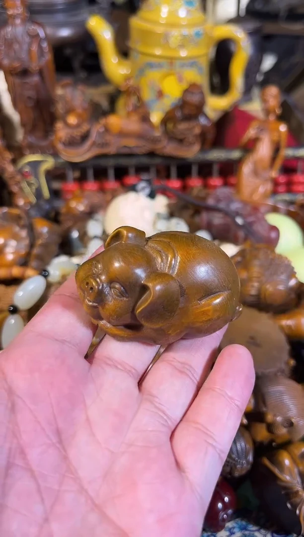 黄杨木11111111111111111