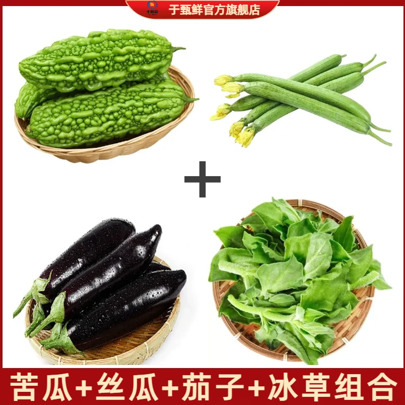【于甄鲜选】寿光新鲜蔬菜苦瓜/丝瓜/茄子/冰草4.5-5组合装
