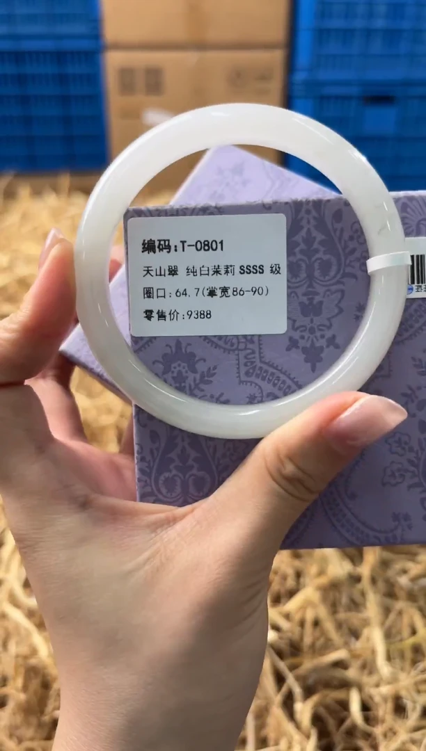 未镶嵌手镯石英质玉T-0801