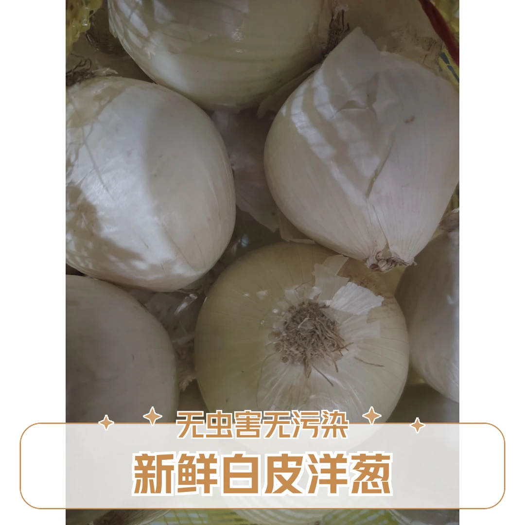 پىياز   皮亚子(1kg)