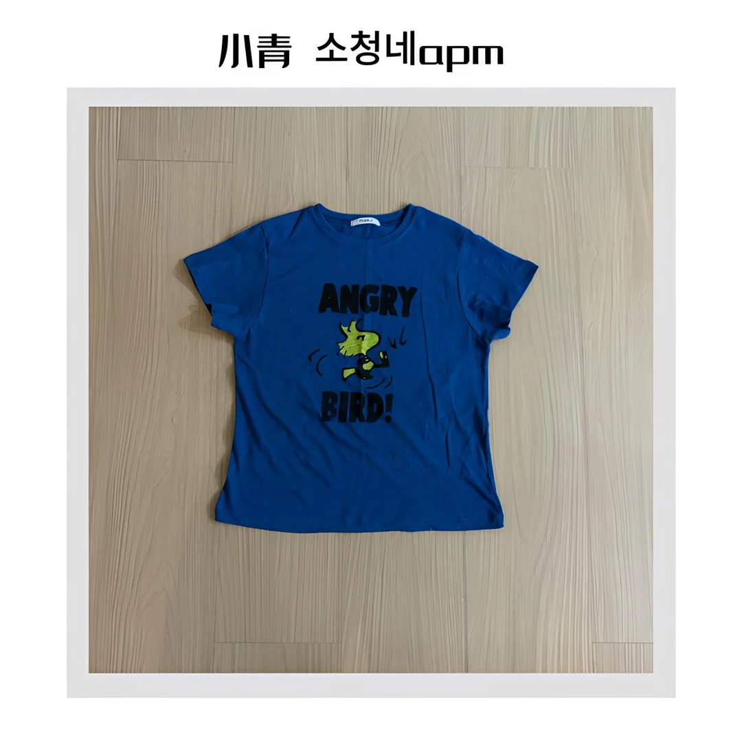 韩国东大门 PEBBLE/小金鱼散步字母卡通T恤