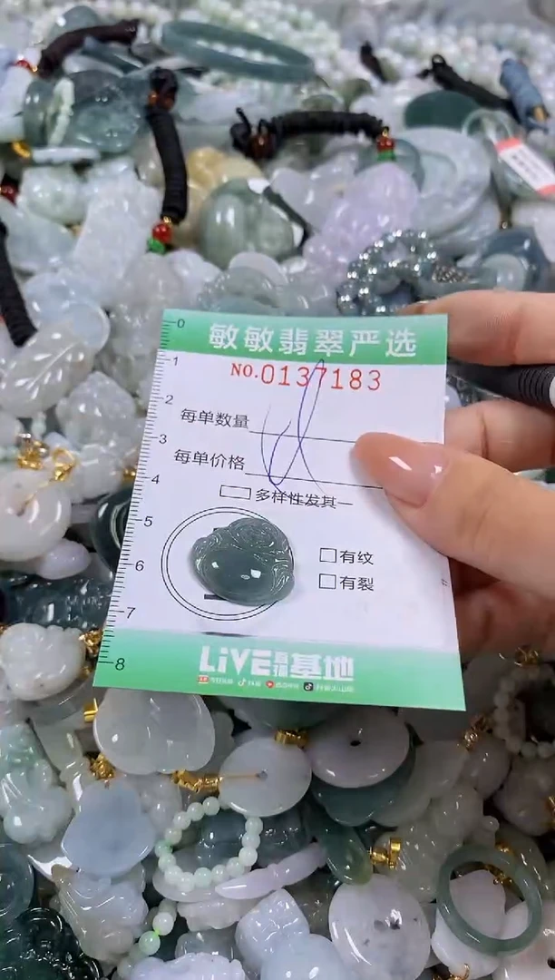 【闪购商品】翡翠颈饰未镶嵌闪购0137183