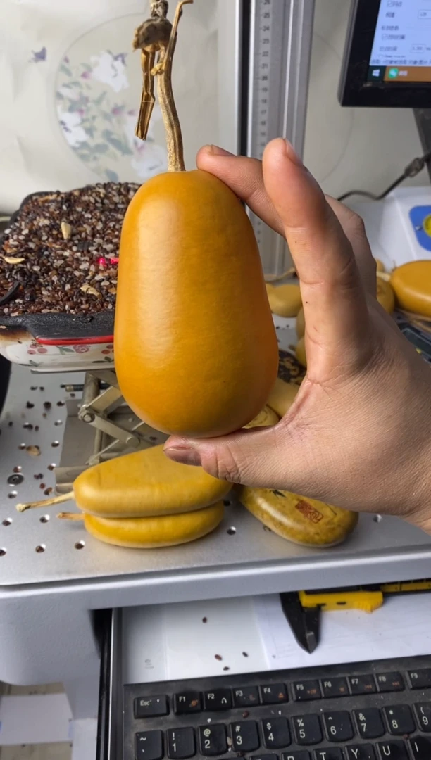 冇*有葫芦葫芦葫芦葫芦