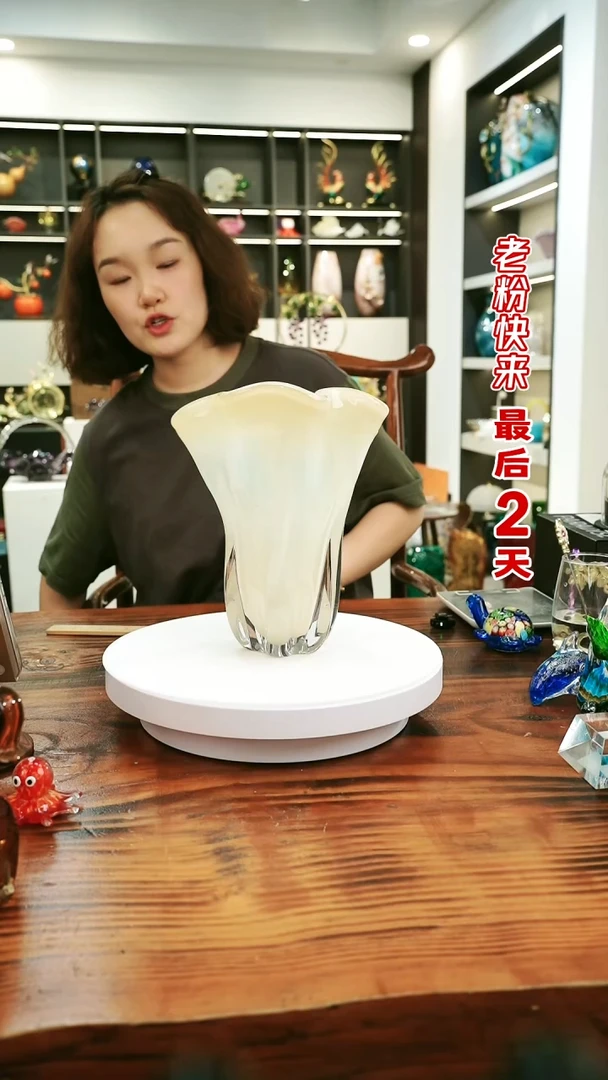 外贸尾货花瓶248