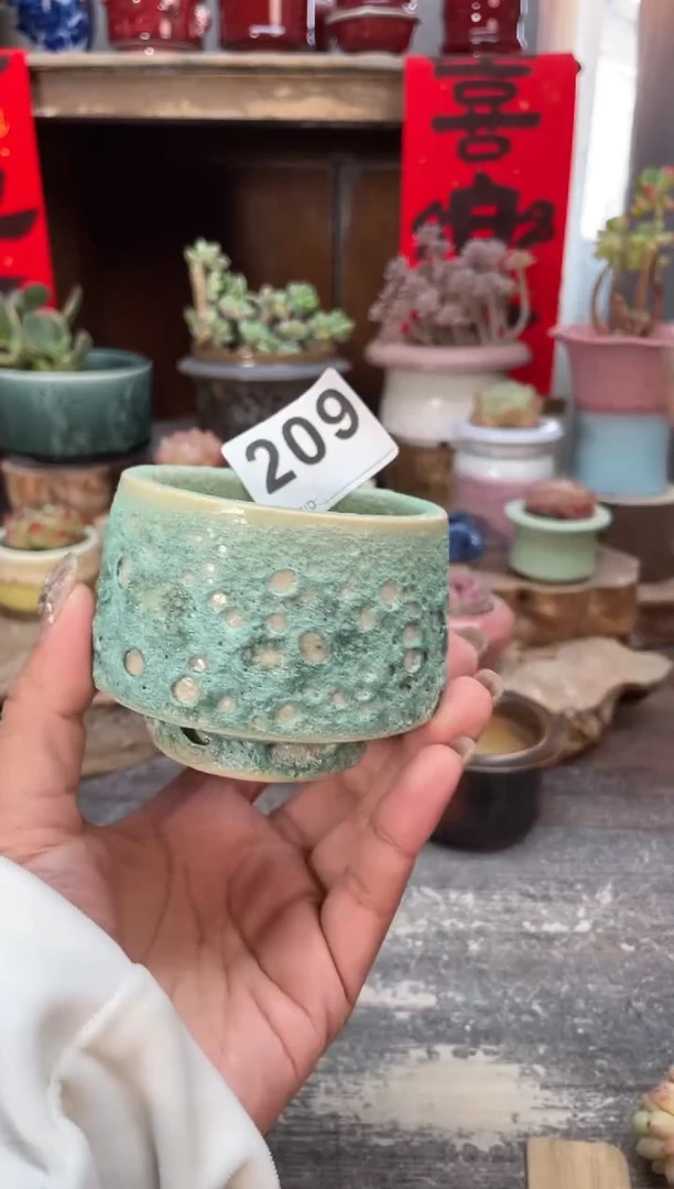 【闪购商品】摆件209知木小芳花盆