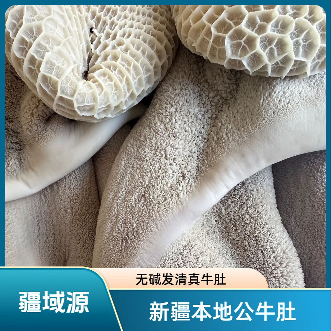 新建本地清真公牛肚 无碱发 固形物含量100%