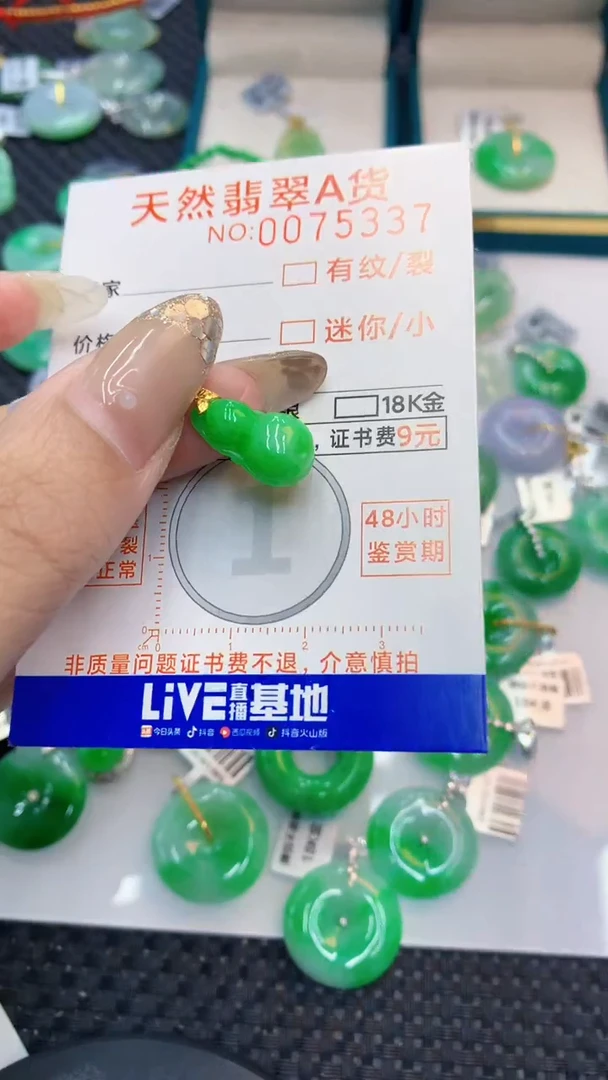 翡翠18K金镶嵌颈饰           1