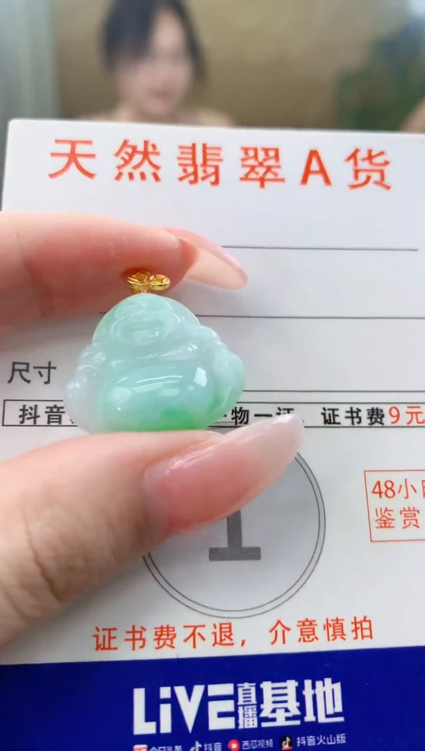 颈饰未镶嵌翡翠天然A货翡翠挂件