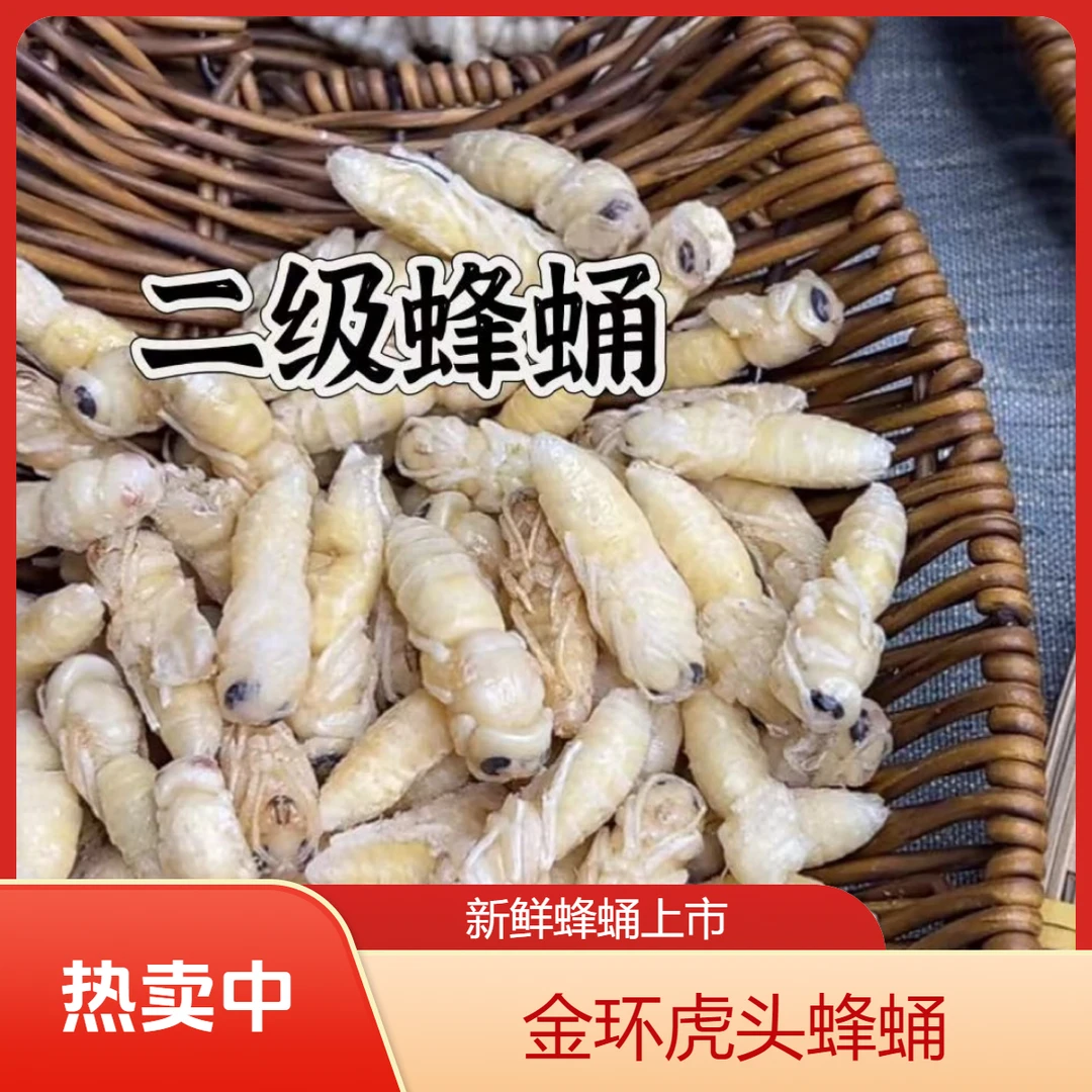 云南特产金环虎头蜂蛹一到四级顺丰包邮
