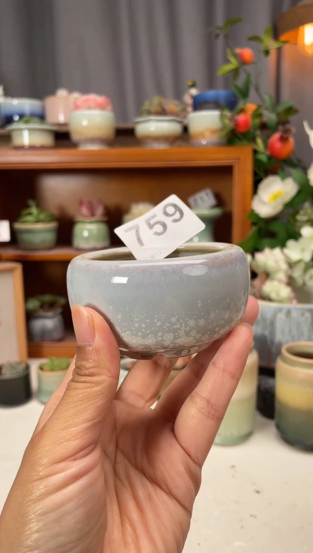 瓷片759知木小芳花盆