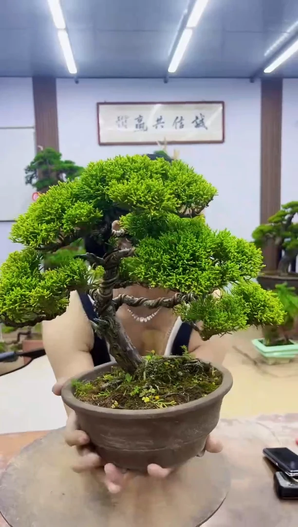 无花朵茶*堂0000000000000