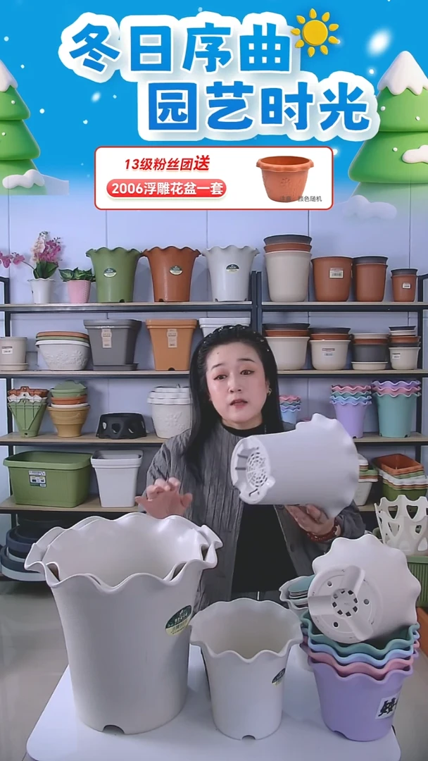 5套荷叶边5003+1套矮款荷叶边2号盆，带托米白色