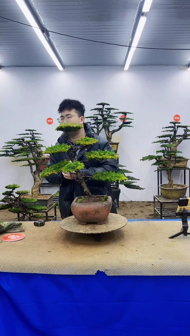 无花朵一物一拍，所见即所得