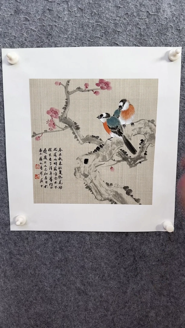 【闪购商品】国画ST-ZYM花鸟绘画作品