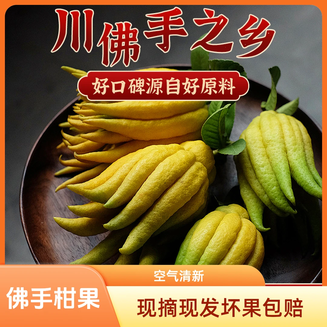 【随机中小果】川佛手鲜果高山佛手柑摆件室内{400g}