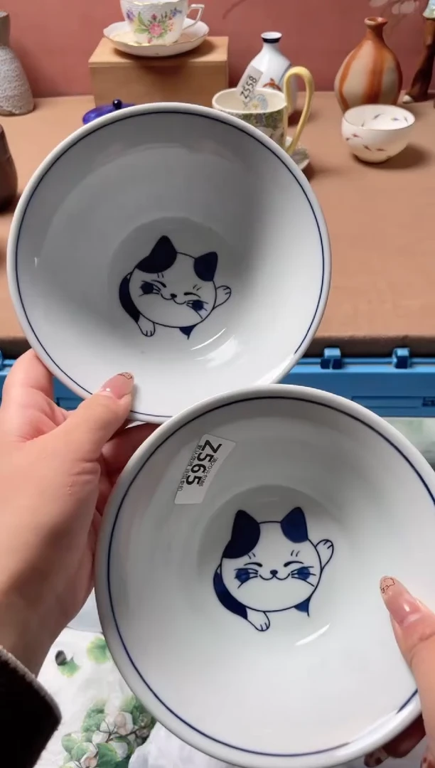 瓷片瓷器瓷器Z565