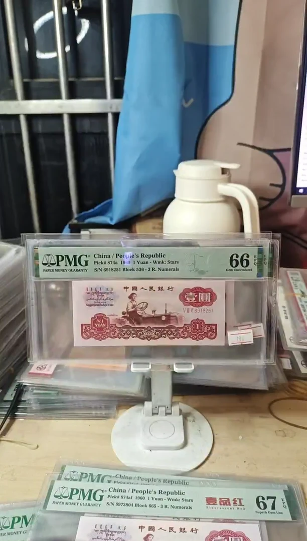 一品红66分6918251！！！