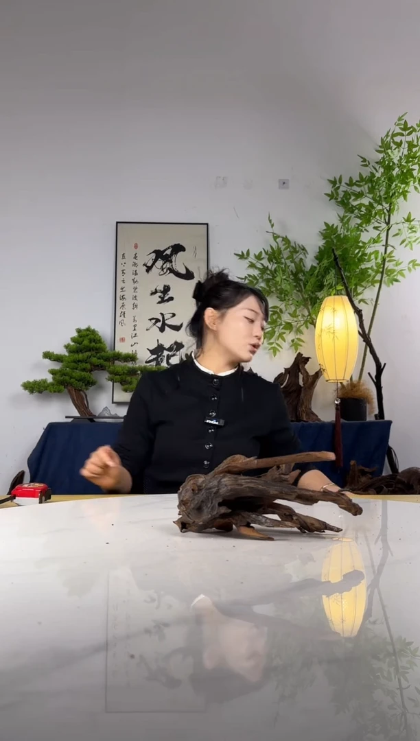 一***?拍这个定向编号17