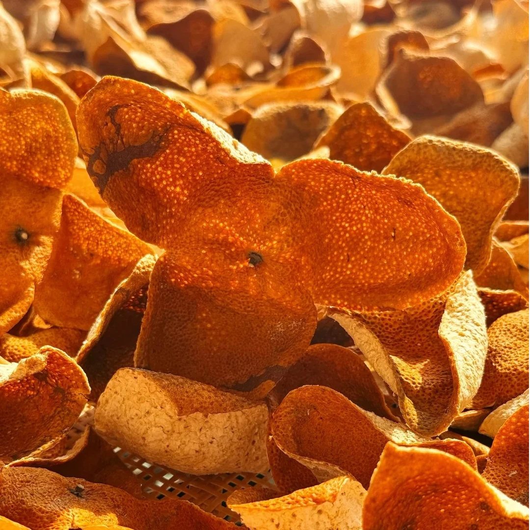 阿丽陈皮【新会天马2025年大红皮】新会核心产区生态种植圈枝8年树