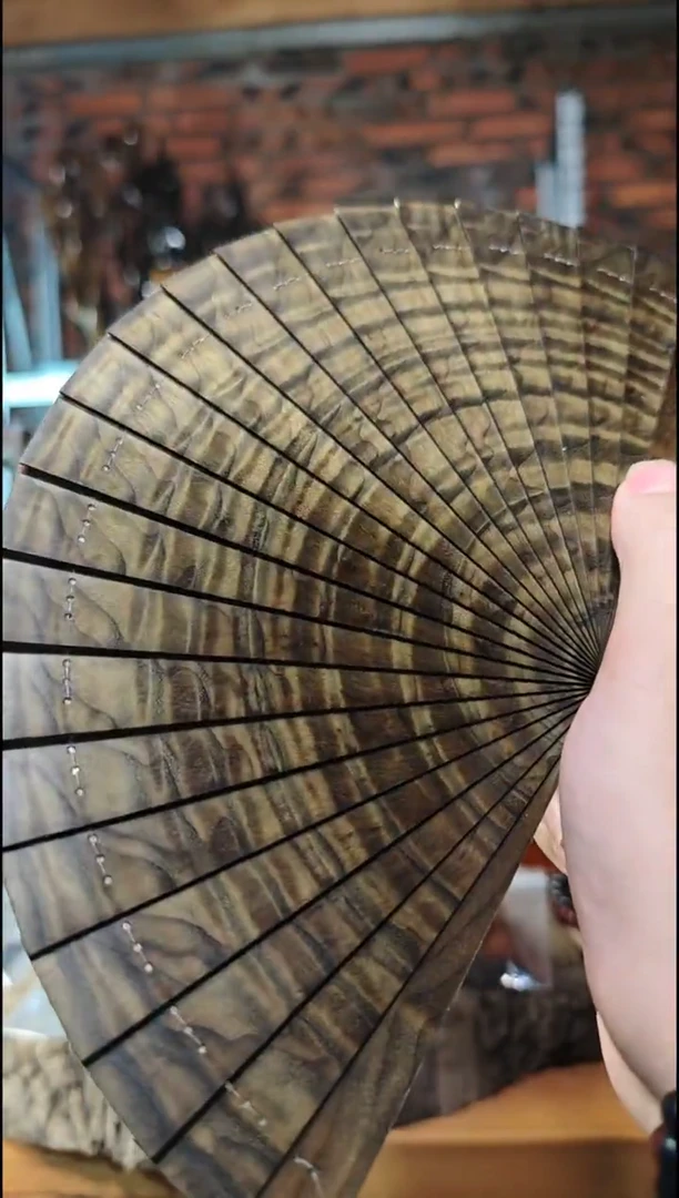 金丝楠     绿扇子