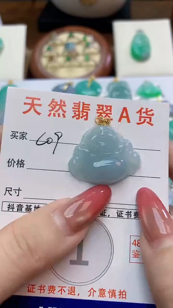 颈饰未镶嵌翡翠天然A货翡翠挂件