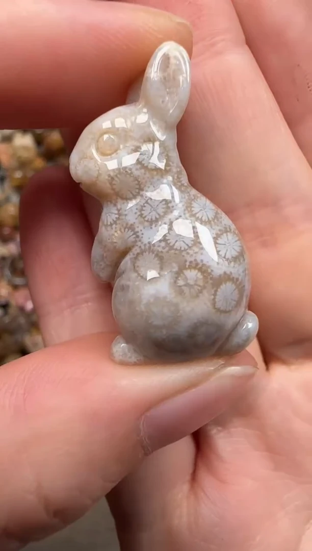 硅化珊瑚（珊瑚玉）未镶嵌颈饰627